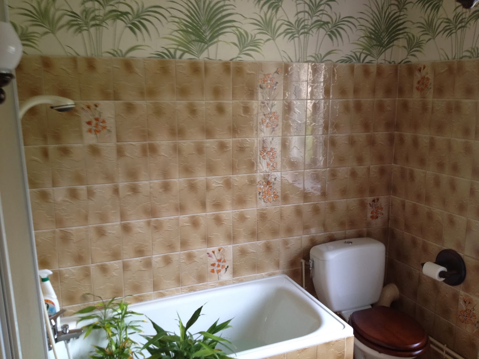 Bois prieur, la maison dans la forêt: relooking de salle de bain