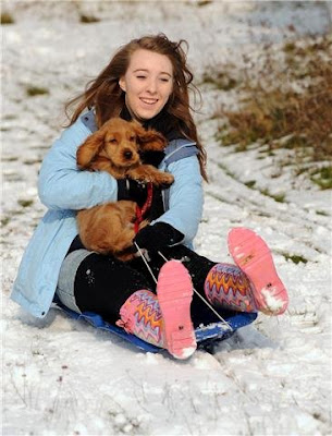 Dog Sledging at Newlands Corner