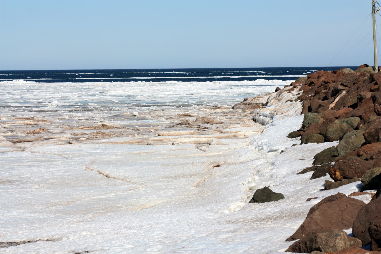 Carol Steel PetitCap, New Brunswick