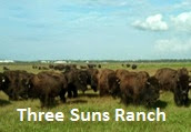 Three Suns Ranch