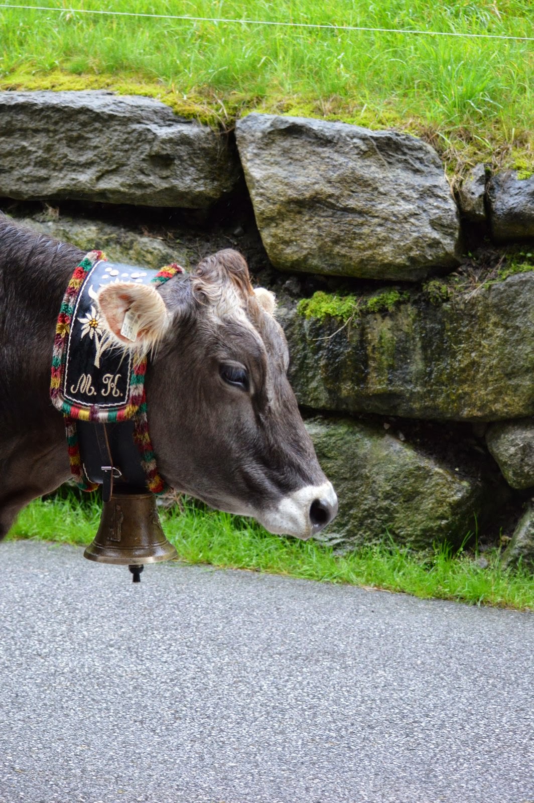 Alpin Lodge Das Zillergrund Mountain Aktiv Relax Hotel