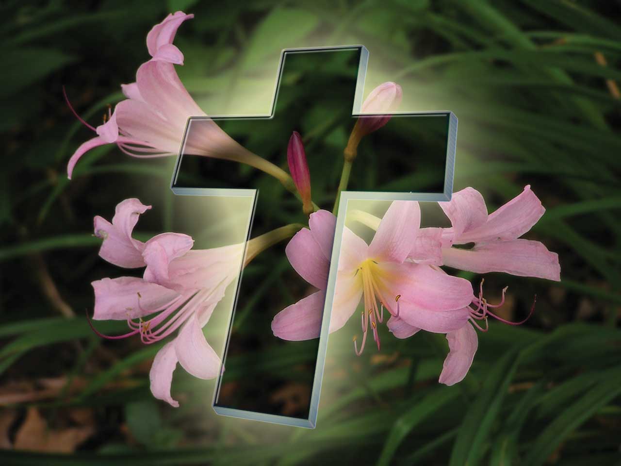Easter wallpapers ~ HD Wallpapers