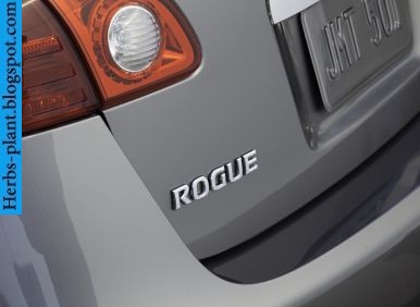 Nissan Rogue car 2013 logo - صور شعار سيارة نيسان روج 2013 Nissan Rogue car 2013 logo - صور شعار سيارة نيسان روج 2013