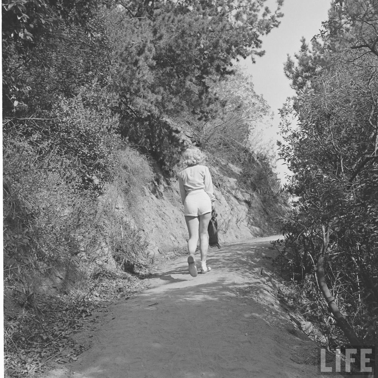 time machine to the twenties missing marilyn 50th my favorite personality essay