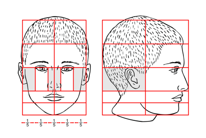 Draw facial proportions Fake nude pics of the olsen twins
