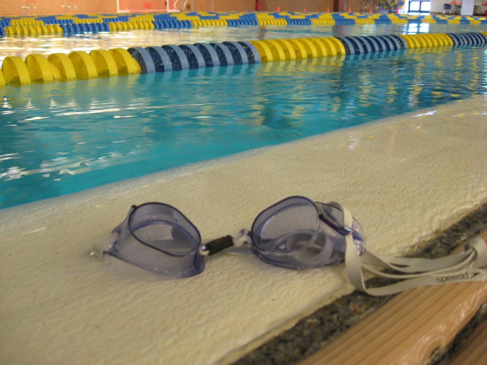 swedish swim goggles