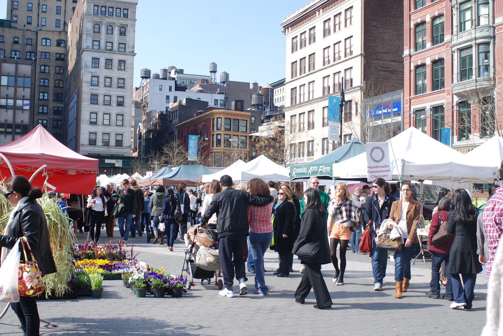 NYC ♥ NYC Union Square Greenmarket (Farmers Market)