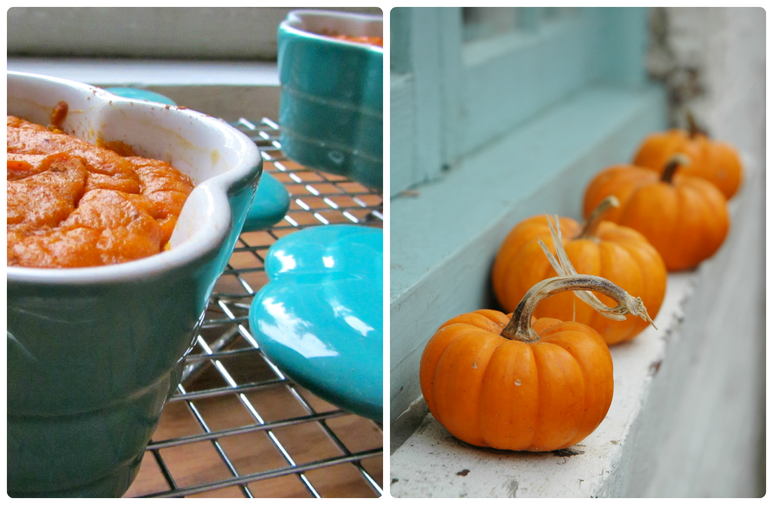 the fresh beet Pumpkin Pudding and PB Cookies