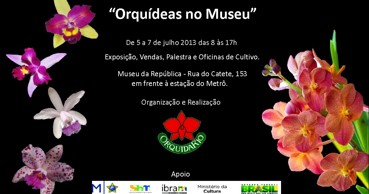 orquidÁrio dos oliveira orquÍdeas no museu setembro 2013