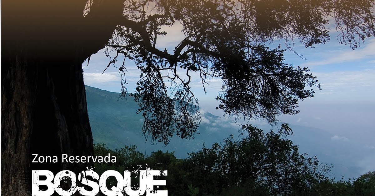 Zona Reservada Bosque de Zárate