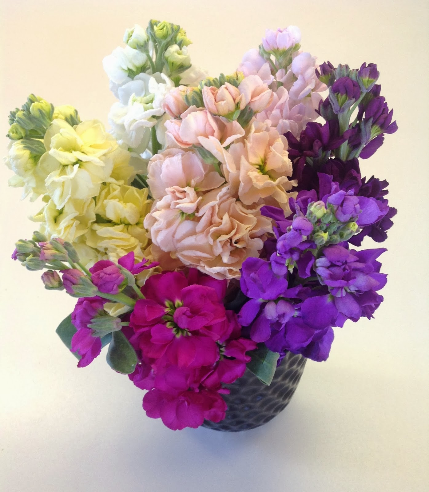 Ocean View Flowers Ocean View Flowers Desk Accessories