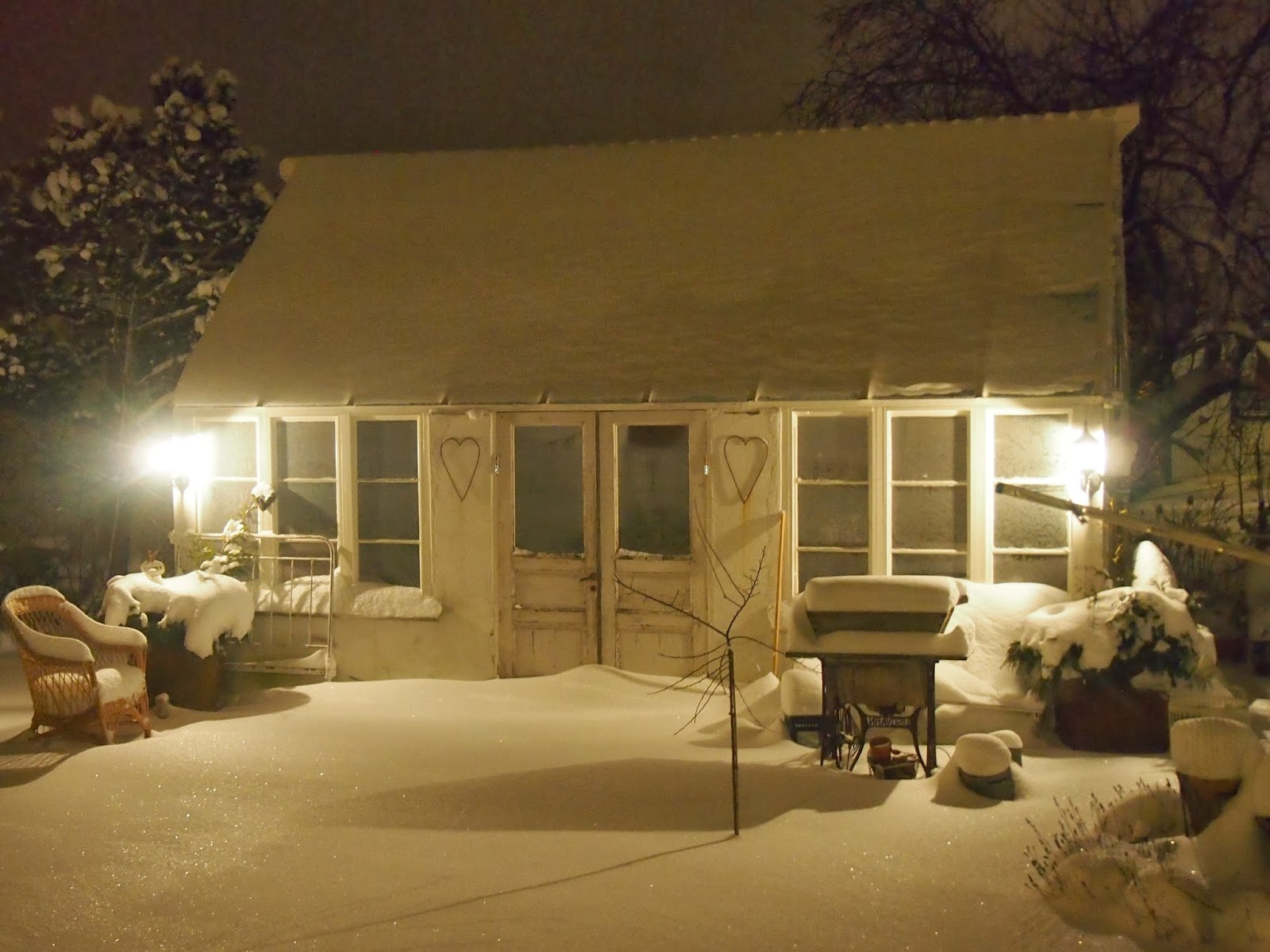 Isas trädgård: januari 2014
