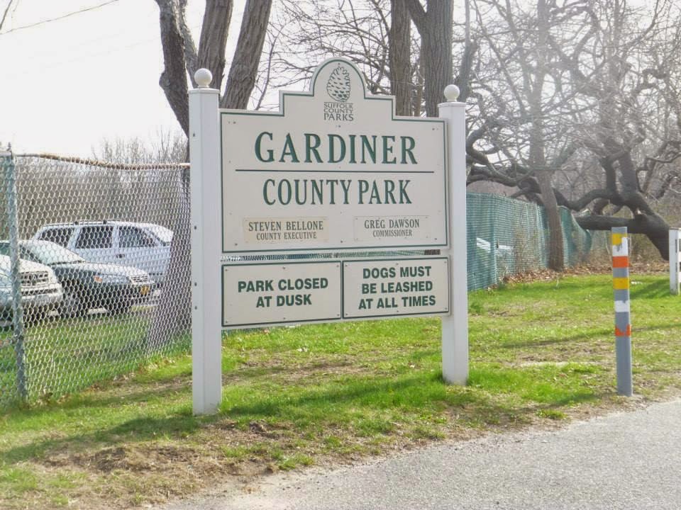 A Mike Who Likes to Hike