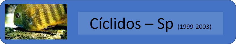 Cíclidos-sp