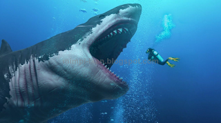 Arti Dan Makna Mimpi Melihat Dan Dikejar Ikan Hiu Menurut Primbon Jawa Dan Tafsir Islam Lengkap Primbon Mimpi Ikan Arti Dan Makna Mimpi Melihat Dan Dikejar Ikan Hiu Menurut Primbon Jawa Dan Tafsir Islam Lengkap Primbon Mimpi Ikan