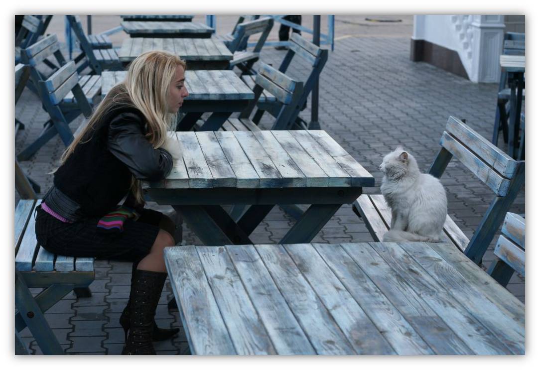 12 животных с человеческим лицом