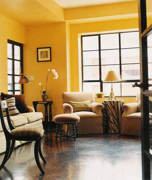 New Home Interior Design: Great Paint Colours