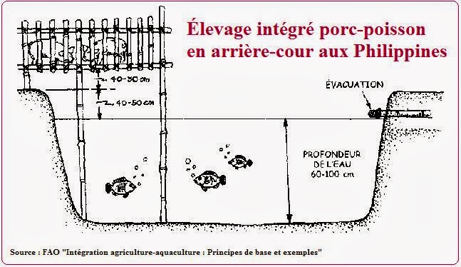 Comment Fare Un Bon Caf Ef Bf Bd Br Ef Bf Bdsilien Comment Fare Un Bon Caf Ef Bf Bd Br Ef Bf Bdsilien