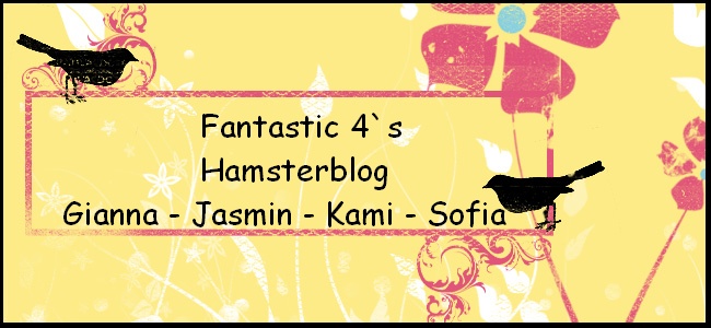 Fantastic Four`s Hamsterblog