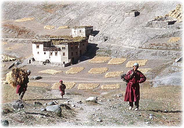Ancient Futures: Learning from Ladakh Shikshantar