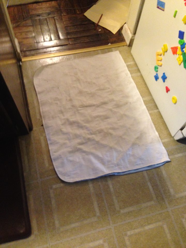 DIY Washable Doggie Pee Pee Pad/ Doggie Door Mat [Tutorial] One