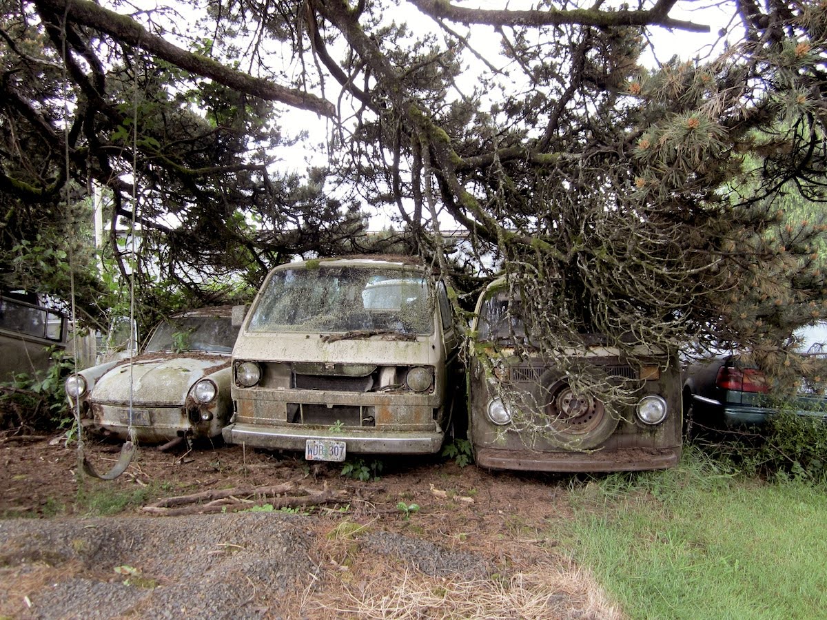 Oregon ford junk yard #4