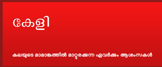 ഉപജില്ലാ കലോത്സവം