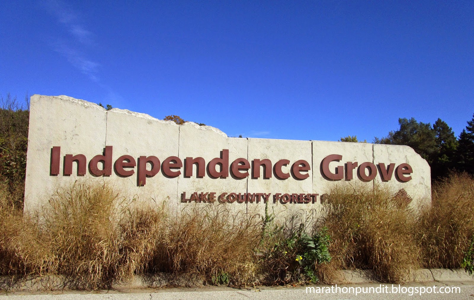 A Reading Of The Declaration Of Independence Elk Grove News Net