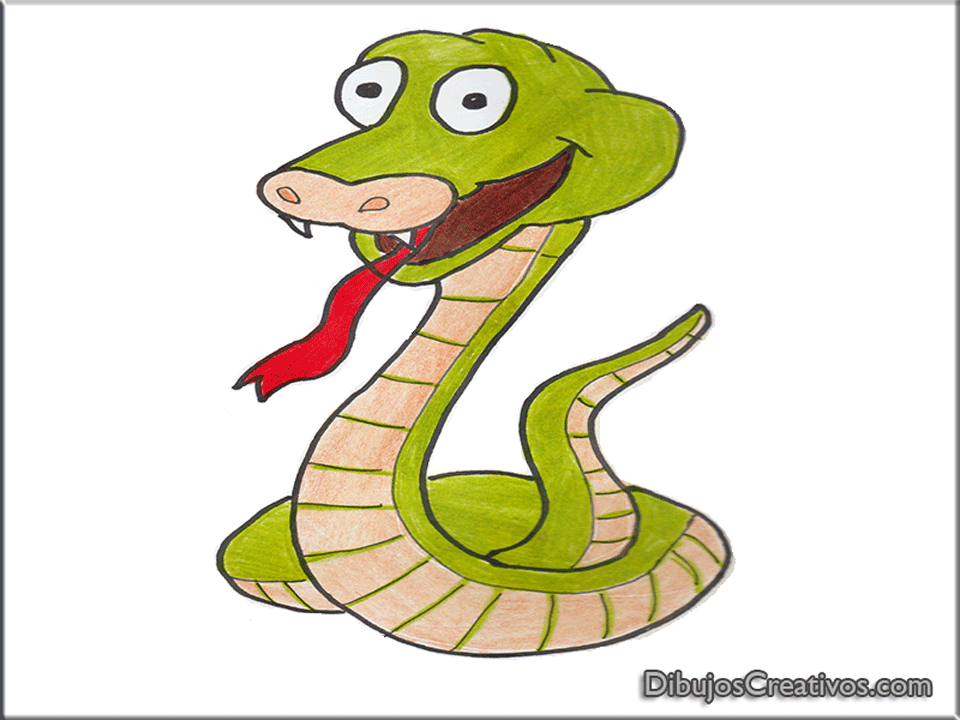Dibujos De Serpientes Para Colorear. Colorear Serpiente ... Dibujos De Serpientes Para Colorear. Colorear Serpiente ...