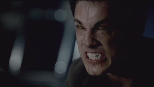 Vampire Contact Lenses Vampire Contacts