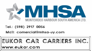 Sponsor MHSA