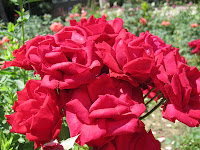IMG_9179.JPG