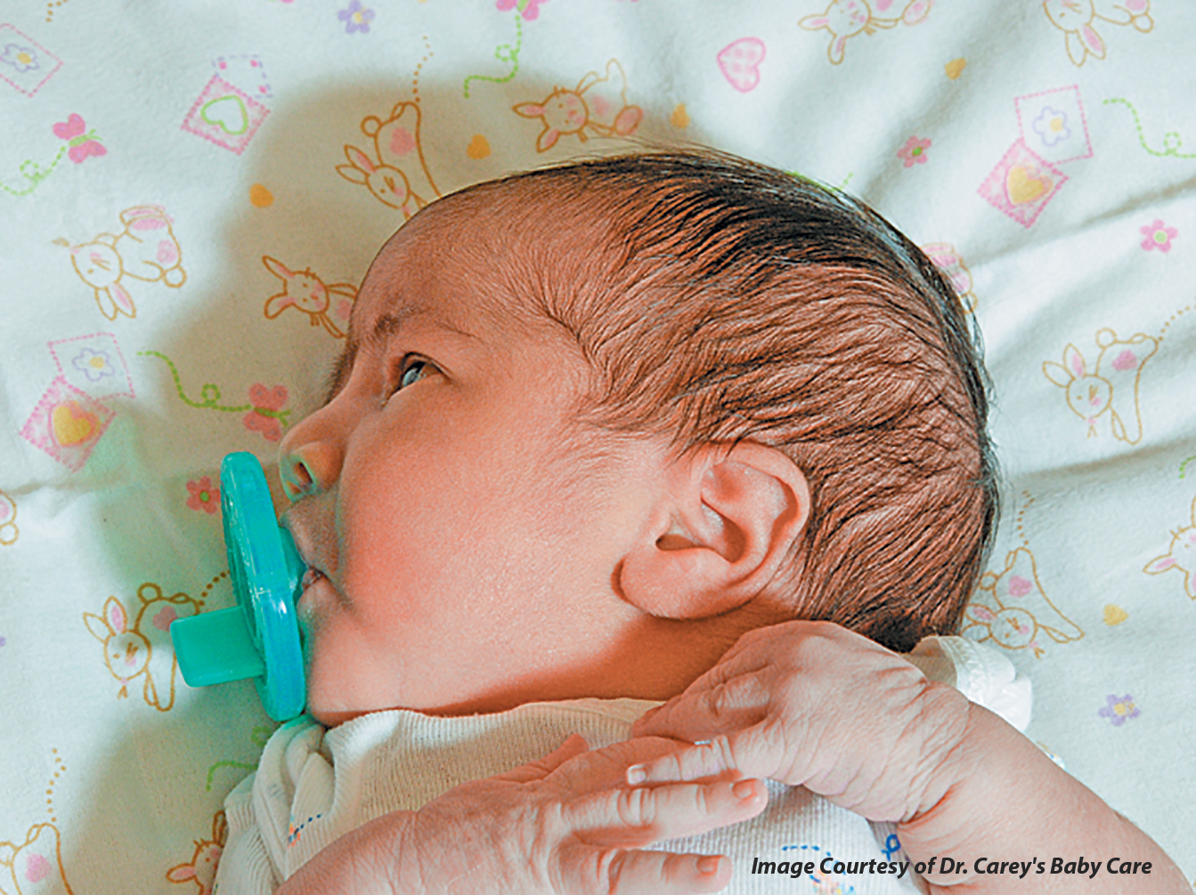 Just Me and the Boys Dr. Carey's Baby Care Guide Review and Giveaway