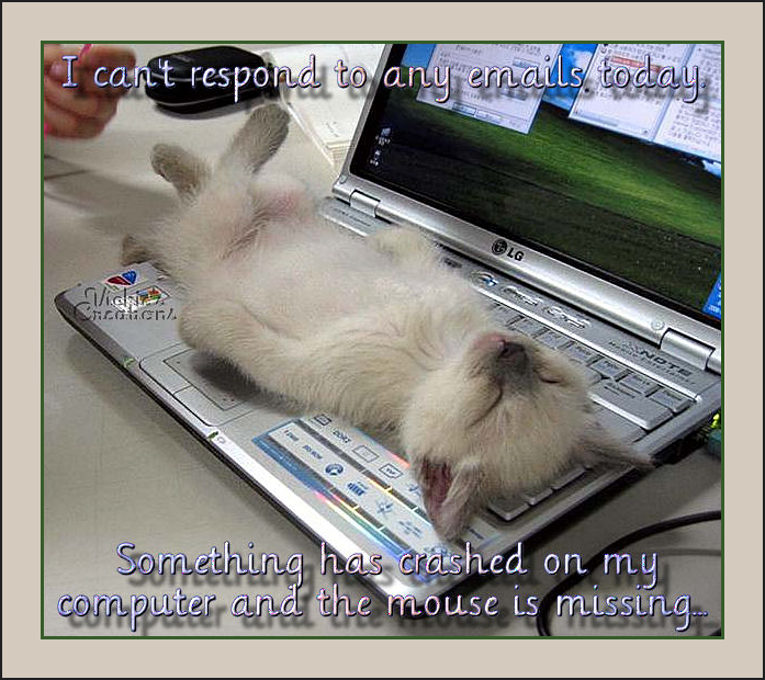 DELIGHTFUL CLUTTER...by Rose JUST TOO CUTE