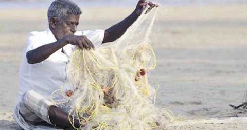 Cursed Life -- Part 3