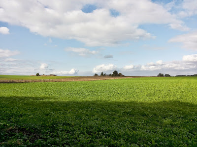 Herbst in Otter (und auf Ribbeck im Havelland)