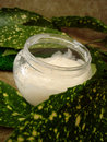 Night Cream