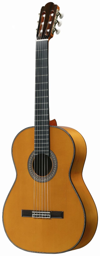 Maria Jose: Guitarra