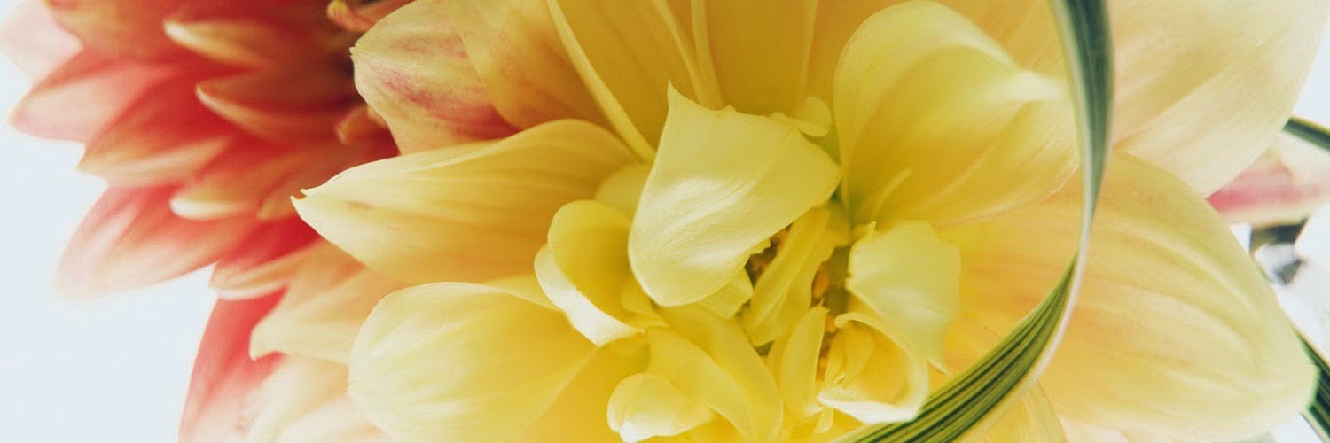 Calendars Printable / Twitter Headers / Facebook Covers / Wallpapers Nature Twitter Header