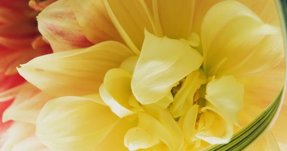 Calendars Printable / Twitter Headers / Facebook Covers / Wallpapers