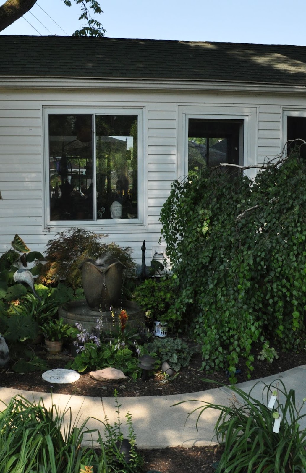 Creating Interest Cutting Edge Daylilies From Pleasant Valley Gardens