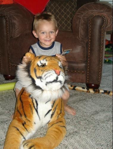 Big Cats With Toys Big Cats With Toys