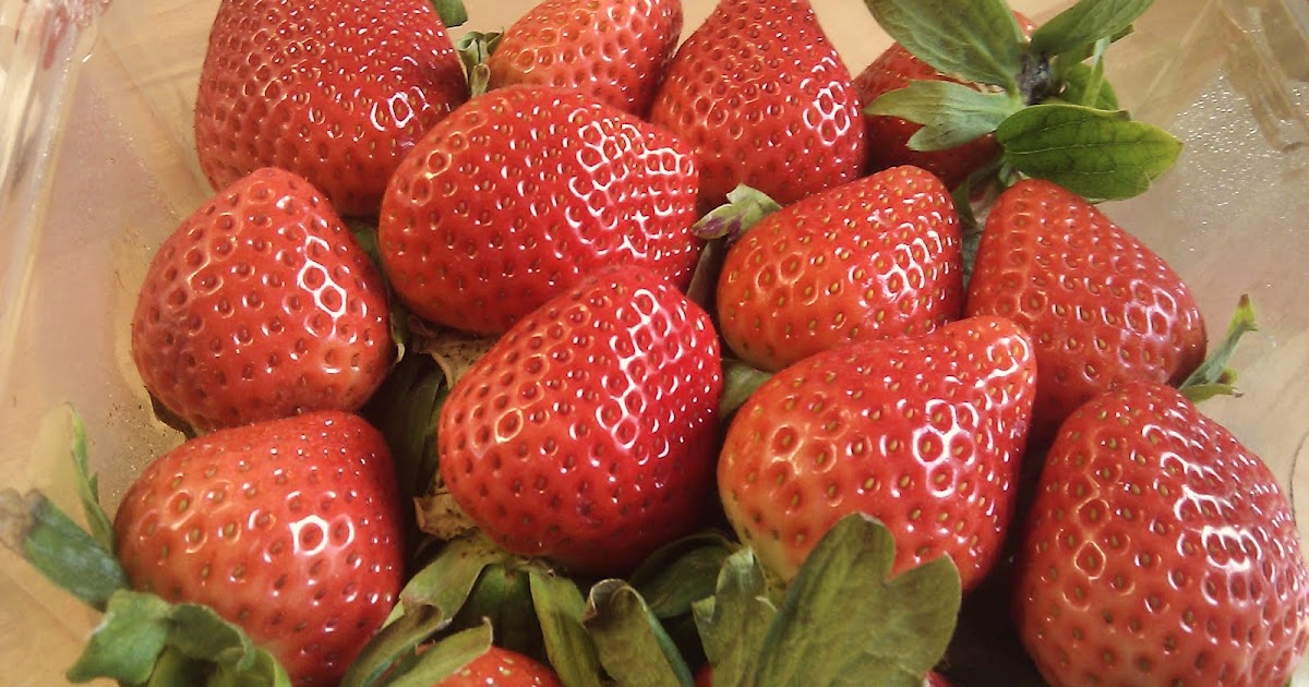 Hummingbird Bakery Strawberry Cheesecake Cupcake Recipe
