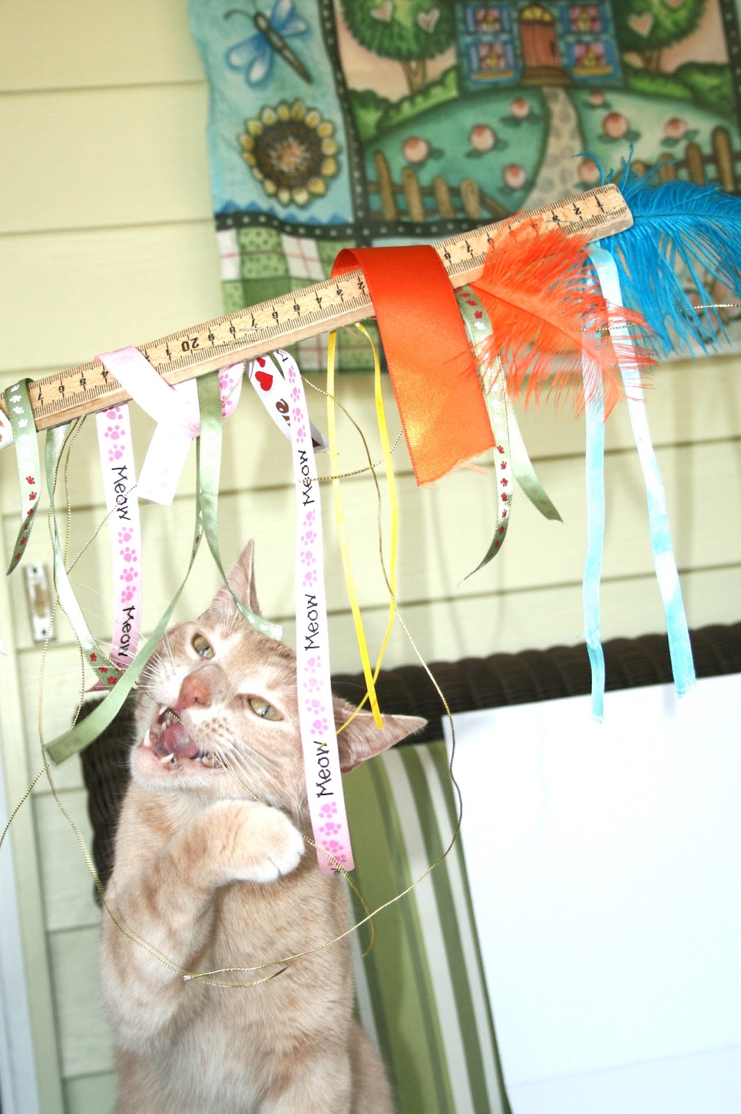 SusieQTpies Cafe Teen Blog Hop, Cat food & cat toys!