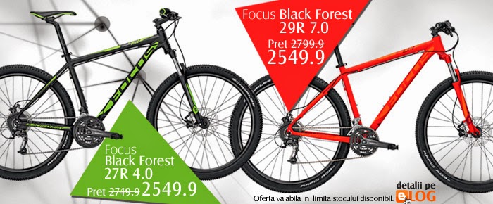 focus black forest 29r 2014