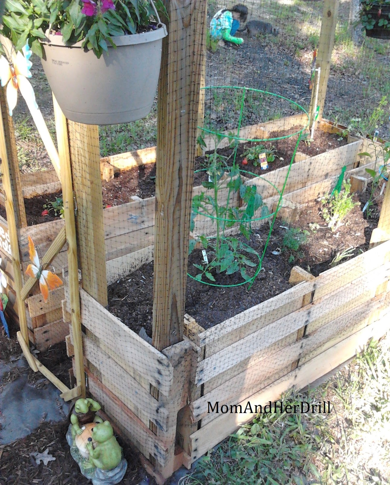KidSize Critter Proof Veggie Garden REVEAL Mom and Her Drill
