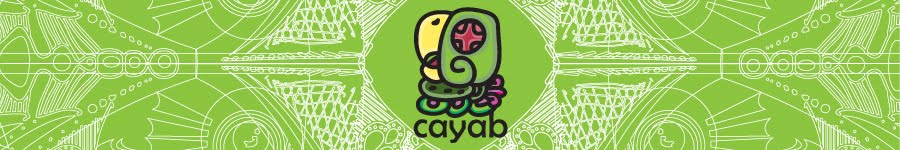 cayab arte diseño