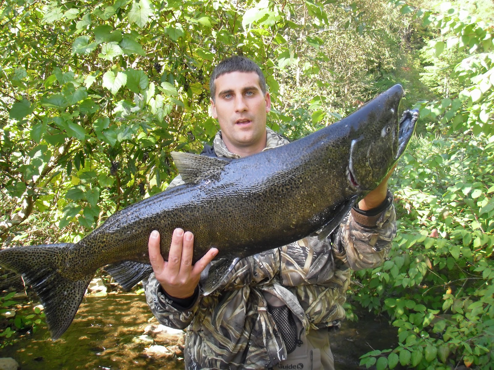 Ohio Fishing Source NY Salmon 2011