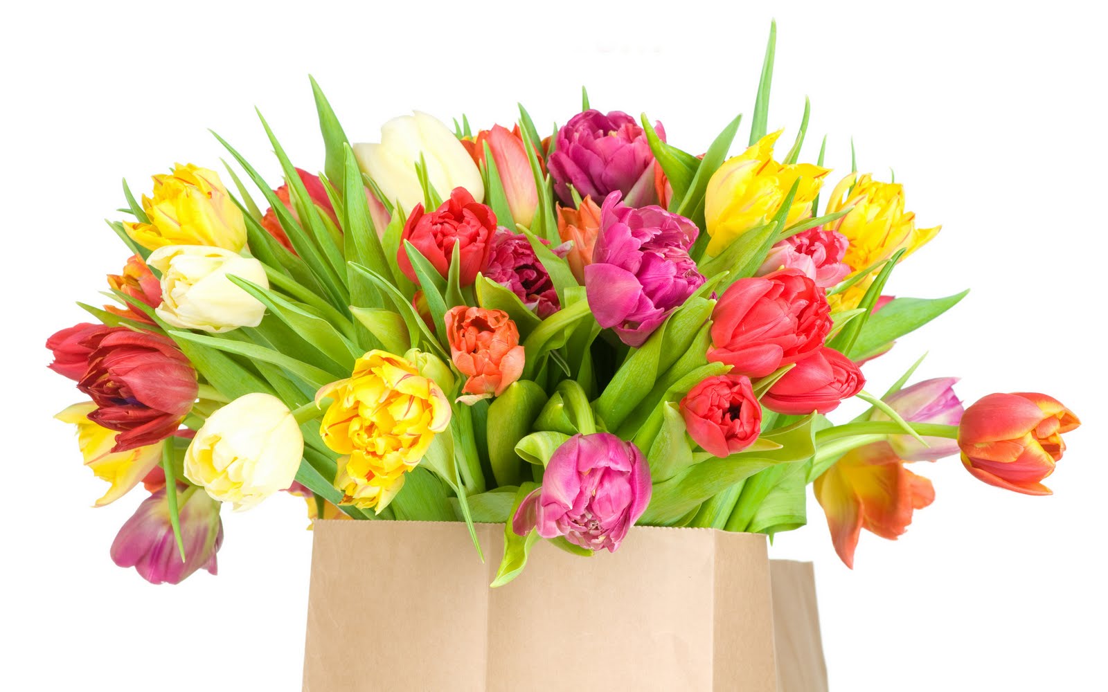 http://2.bp.blogspot.com/-8KUwl5hba38/TbhI2ClHabI/AAAAAAAAgmI/wC5vEwCFWzM/s1600/www.BancodeImagenesGratuitas.com%252BM10-17.jpg