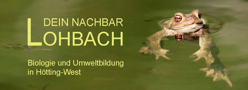 Dein NachbarLohbach